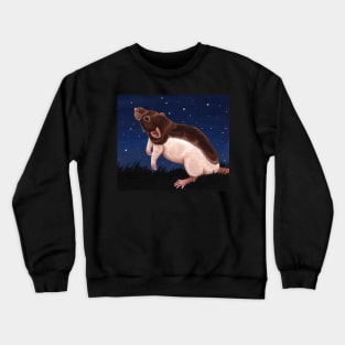 Agouti Hooded Rat Stargazing Crewneck Sweatshirt